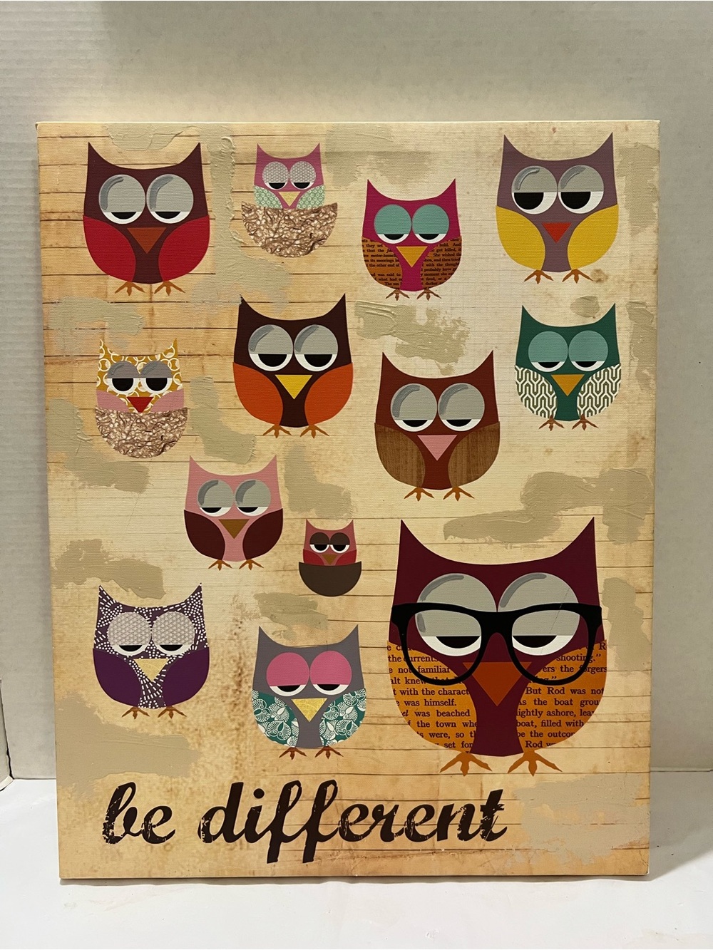 BE DIFFERENT Owls 16 X 20 X 1.5 Canvas Wall Art Poster Picture